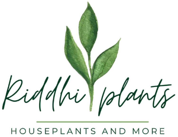 Riddhi Plants-House Plants & More