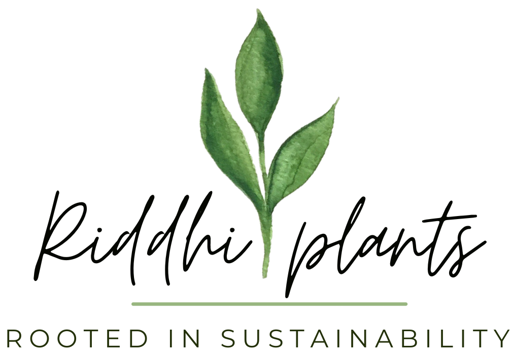 Riddhi Plants-House Plants & More